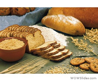 EL ARTE DE ALIMENTAR